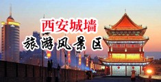 日韩嫩穴图片中国陕西-西安城墙旅游风景区