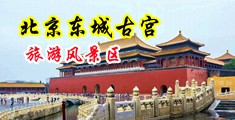 性感日本少妇插大鸡吧中国北京-东城古宫旅游风景区